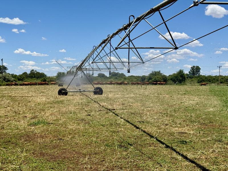 0 Bedroom Property for Sale in Bothaville Free State